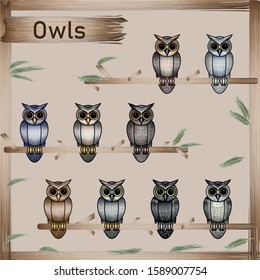 Set of Cute Owls on a brown background