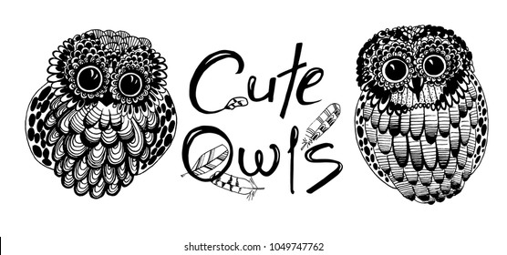 set of cute owls painted by a liner on a white background