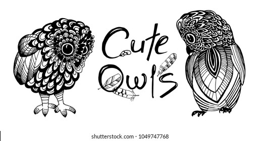 set of cute owls painted by a liner on a white background