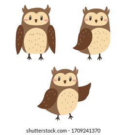 Conjunto de búhos lindos. Ilustración vectorial.