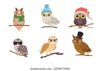 Conjunto de búhos lindos con sombreros, pañuelos y gafas - ilustración plana vectorial de dibujos animados aislada en fondo blanco. Pájaro búho sentado en la rama del árbol. Animados dibujos animados.