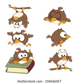 Set of cute owls for you design. Vector icons. Cartoon