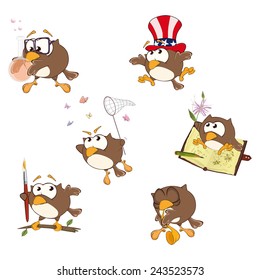 Set of cute owls for you design. Vector icons. Cartoon 