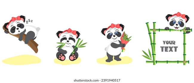 Set of cute panda bear girl. Asian rainforest animal sleeps on a tree branch. Adorable wild jungle mammal eating a bamboo stem. Cartoon character with bamboo frame