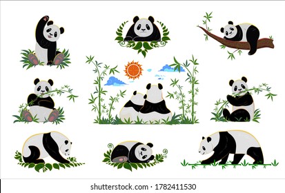 Set of cute pandas with bamboo. Asian style. Design for greeting cards, banners and designs.