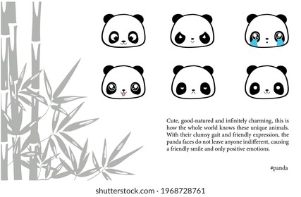 Set of cute pandas with text and description, bamboo tree. The illustration is made in a vector