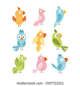 A set with cute parrots for children.