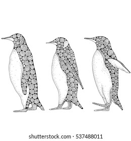 Set of cute Penguin isolated on a white background. Coloring book for adult and children. Doodle style. Zentangle. Zen art. Black and white Antarctic animals. Winter team