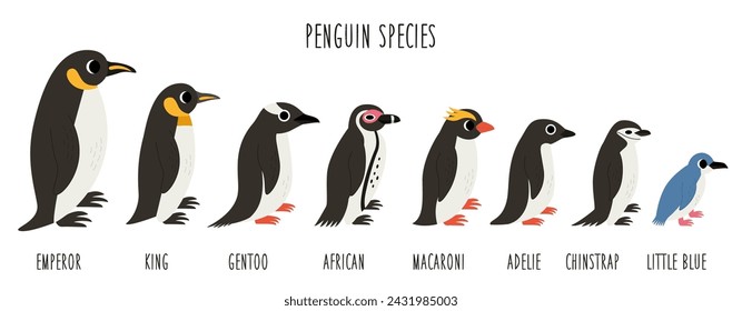 Set of cute penguin species in cartoon style isolated on white background.