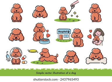 Set of cute pet illustrations of a brown poodle with a hand-drawn feel that can be used for illustrations and icons_white back	