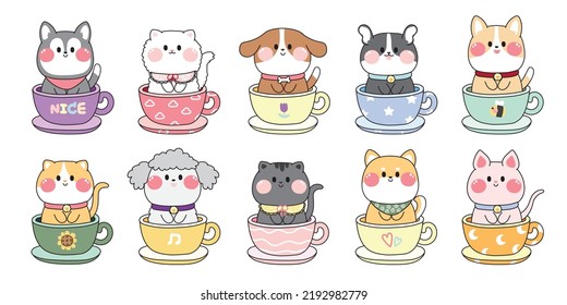 Set of cute pet stay in tea cup.Cartoon animal character design.Dog and cat collection.Kid graphic.Kawaii.Vector.Illustration.