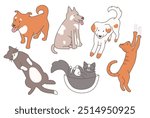 Set of cute pets, cats and dogs, in various poses. A funny cat lying in a bowl. A cat scratching the wall. A playful dog. Flat vector illustration. For pet shops, shelter, print, banner. Cute animals.