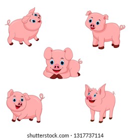 Set of Cute pigs