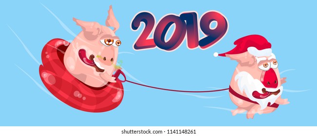 Set of cute pigs. The symbol of the Chinese new 2019 year. Vector illustration on white background. Elements for design.