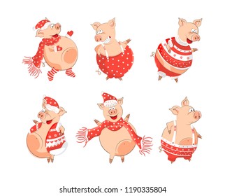 Set of cute pigs. Symbol of the Chinese New 2019. Vector illustration. Elements for design of cards, children's books