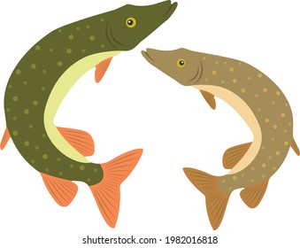 Set of cute pike jumping. Vector image.