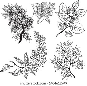 set of cute plant elements and flowers black and white vector isolated image