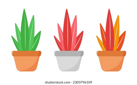 Conjunto de plantas lindas con ollas de diferentes colores. Ilustración vectorial en un estilo plano. Aislado sobre fondo blanco.	

