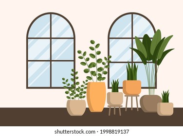 Set of cute plants in pots, planters, cacti, tropical leaves. Urban jungle banner, greeting card print. Home interior decor elements. Houseplants growing. Vector stock illustration