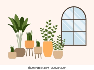 Set of cute plants in pots, planters, cacti, tropical leaves. Urban jungle banner, greeting card print. Home interior decor elements. Houseplants growing. Vector stock illustration