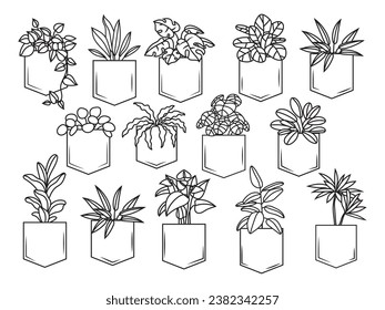 Set of cute plants in t-shirt pocket. Collection of home flowers in the pocket. Decorative Flower. Botany. Hand drawn. Vector illustration for a design clothes.
