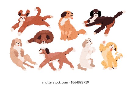 Set of cute playful Goldendoodles and Labradoodles. Golden, tan and white curly-haired dogs running, jumping, sitting and waving with paw. Colored flat vector illustration isolated on white background svg
