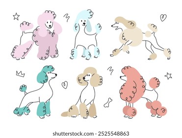 Conjunto de perros caniche lindos, ​ de perro feliz de dibujos animados ​ personajes en diferentes poses. Mascotas divertidas. Dibujo de línea doodle Vector color poodle aislado