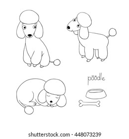 Set Of Cute Poodle Illustration In Different Poses. Portrait Of A Dog For Decoration And Design. Hand Drawing Isolated Objects. Stone And Bowl. Vector Illustration. 