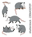 Set of cute possums isolated on white background. Vector graphics.