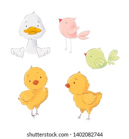Set of cute poultry chickens and ducklings, vector illustration in cartoon style