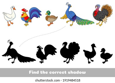 Set of cute poultry: goose, rooster, turkey, duck, peacock. Find the correct shadow. Educational game for children. Cartoon vector illustration.