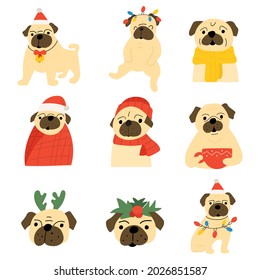 Set of cute pugs. Christmas concept. Vector illustrations on white background. 