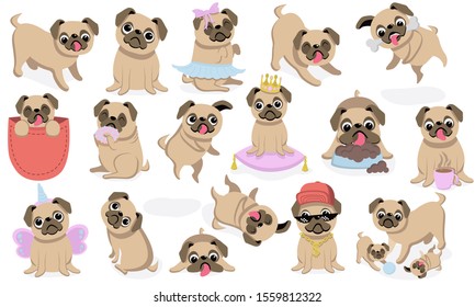 Set of cute pugs with different expressions vector. Pug illustration bundle.