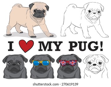 set of cute pugs in sunglasses and without, i love my pug