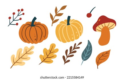 Set of cute pumpkins, leaf, vegetable and mushroom for autumn design element. Collection of simple cartoon of nature hand drawn illustration.