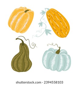 set of cute pumpkins on a white background. poster with hand-drawn colorful pumpkins