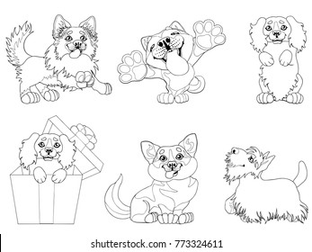 The set cute puppy dogs of a Border Collie, Cocker Spaniel, Akita Inu, Welsh Corgi and Scottish Terrier breeds. A black contour line on white. A vector cartoon illustration, page coloring book.