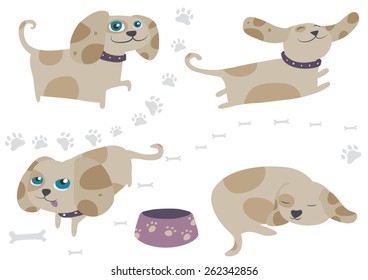 Set of cute puppy, isolated on white, in four different poses. Vector illustration.