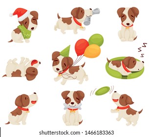 Set of cute puppy. Vector illustration on white background.