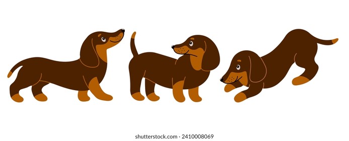 Set of cute purebred dachshund dogs in different poses. Cartoon style illustration, vector