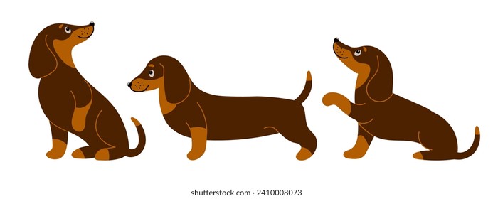 Set of cute purebred dachshund dogs in different poses. Cartoon style illustration, vector