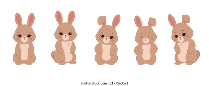  Set of a cute rabbit. Fluffy rabbit cartoon vector illustration.