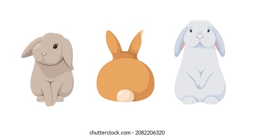 A set of cute rabbits on a white background.
