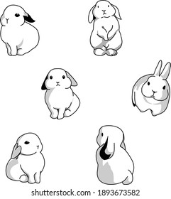 Set of cute rabbits vector flat illustration. 