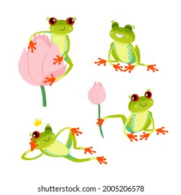Set of cute red eyed frogs. Tree frog in different poses. Vector 10 EPS illustration. Isolated on white backdrop.