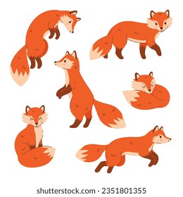 Set of cute red foxes isolated on white background. Vector graphics.