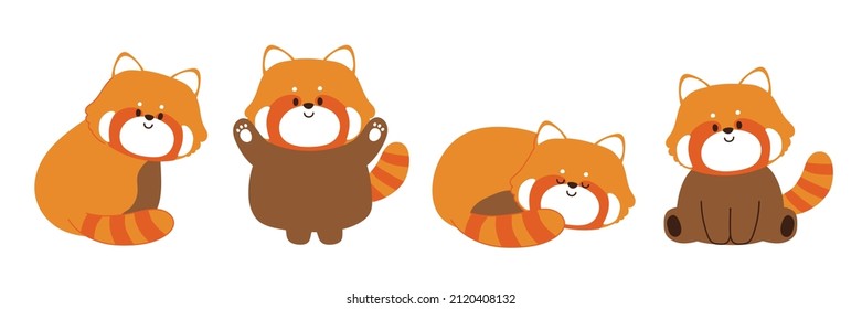 Set of cute red panda in various poses on white background.Animals character design.Kid graphic cartoon collection.Japanese.Kawaii.Isolated.Vector.Illustration.