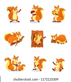 Set of cute red squirrel in different actions. Small forest rodent. Wild animal. Isolated flat vector illustrations