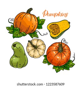 Set of cute ripe pumpkins. Hand-drawn illustration