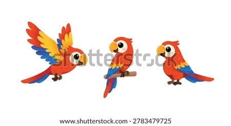 Set of cute scarlet macaw parrot cartoon in different poses: flying, sitting on a branch, and standing. Isolated on white background. Vector illustration.